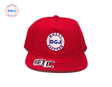 Embroidered DGJ WHEEL CAPS Logo Cap Snapback Hat for Adults Adjustable Unisex